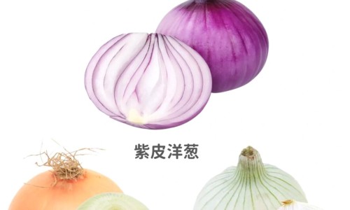 唐氏症专区_唐氏症专区_唐氏优眠的功效与作用网